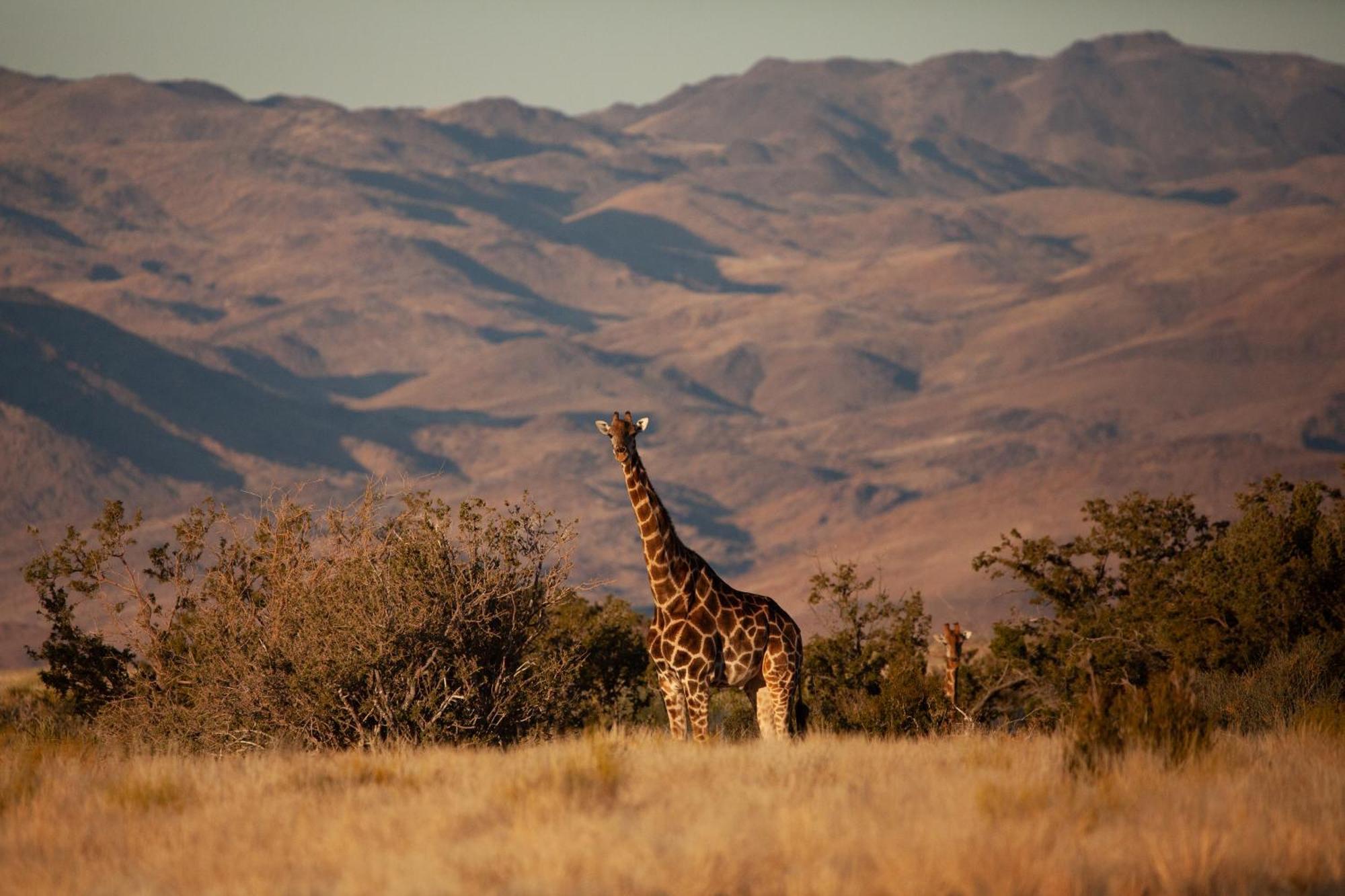 Sandfontein Lodge & Nature Reserve Exteriör bild