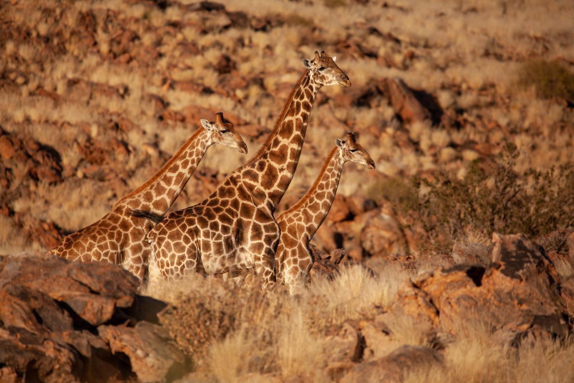 Sandfontein Lodge & Nature Reserve Exteriör bild