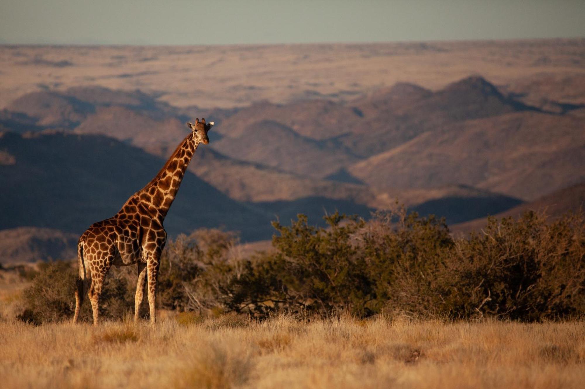 Sandfontein Lodge & Nature Reserve Exteriör bild