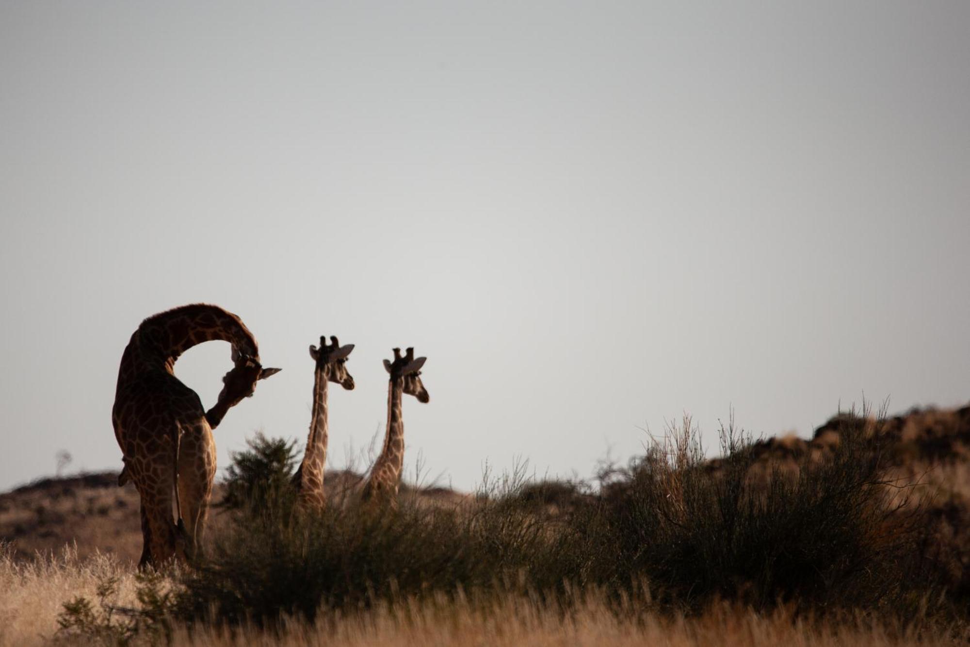 Sandfontein Lodge & Nature Reserve Exteriör bild