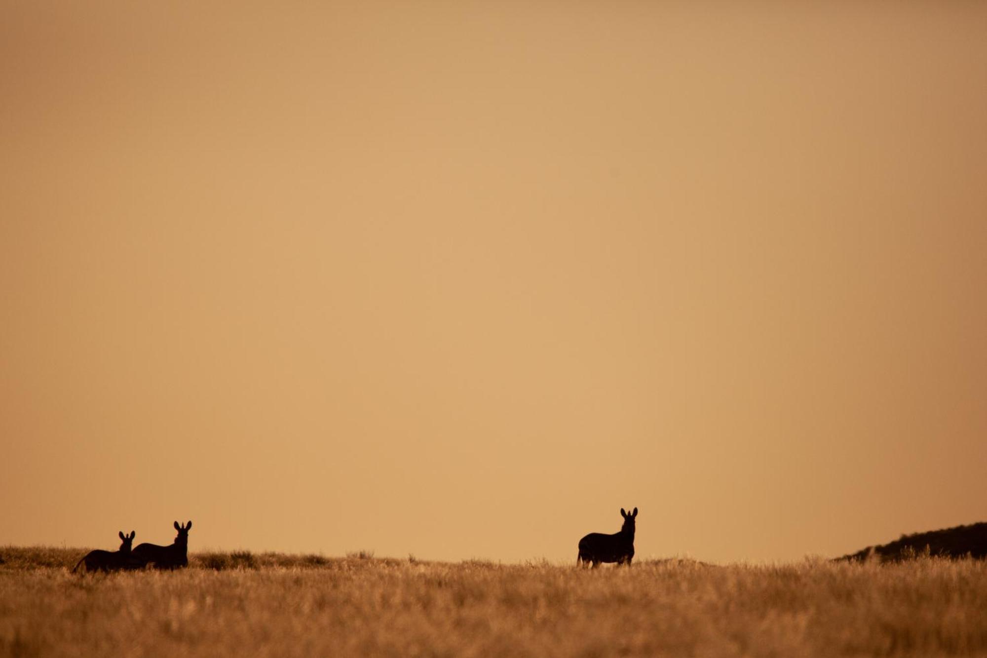 Sandfontein Lodge & Nature Reserve Exteriör bild